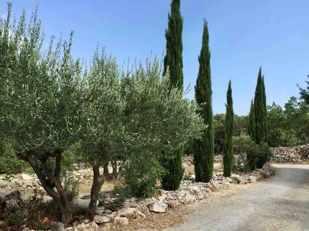 Villa Athena Lorgues