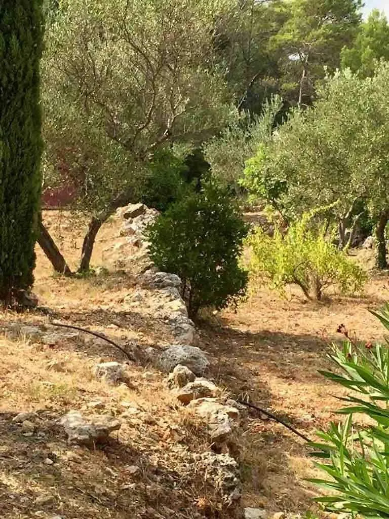 Villa Athena Lorgues