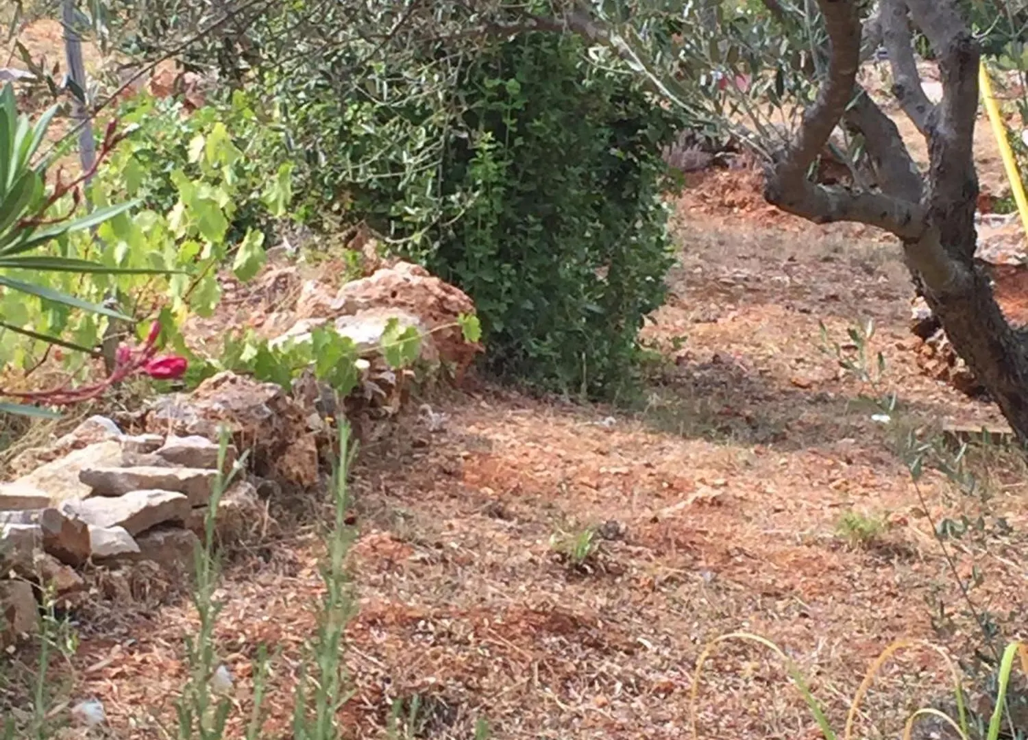 Villa Athena Lorgues France