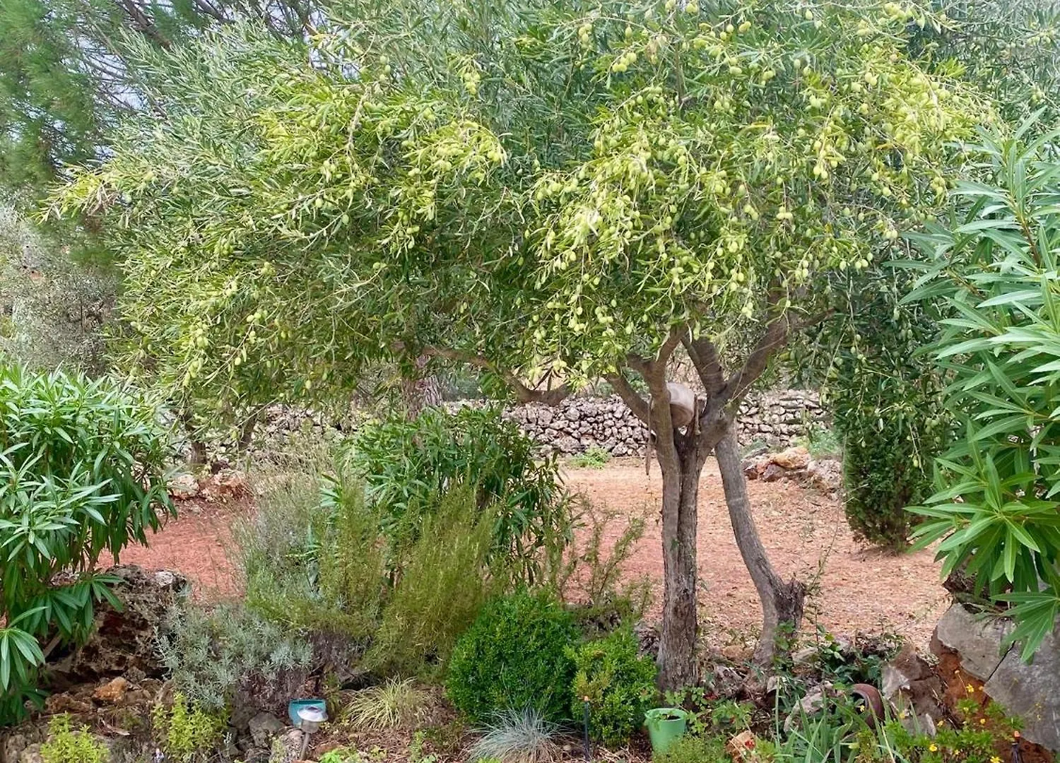 Villa Athena Lorgues